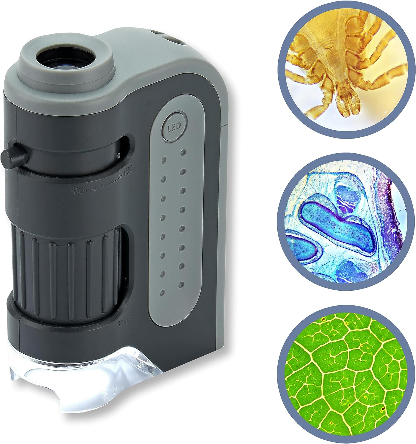 Thnk: Picks - Carson MicroBrite Plus 60x-120x LED Lighted Pocket Microscope