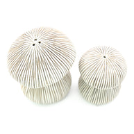 Art Floral Trading Brown Striped Mushroom Porcelain Salt and Pepper Shaker Set
