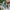 Fork, Trowel and Secateurs Garden Tool Set - William Morris Larkspur Design