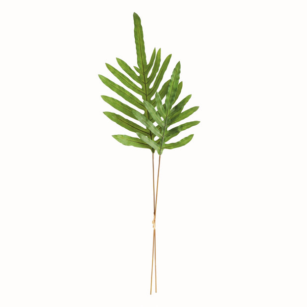 Hare's Foot Branches 34"
