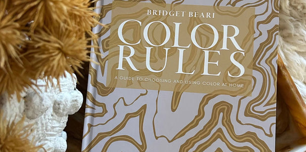 Book titled 'Color Rules' by Susan M. Jameson on a textured surface with decorative elements.