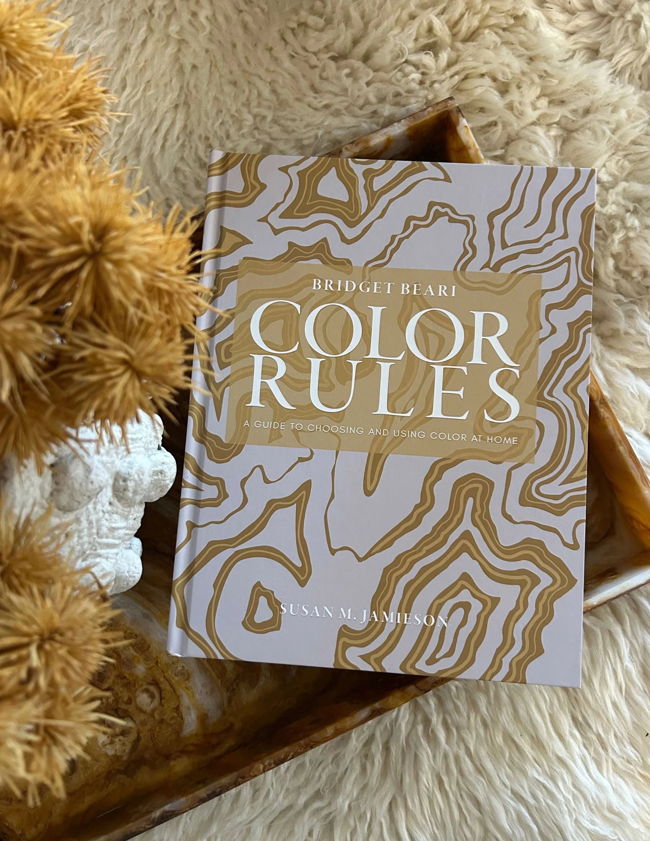 Bridget Beari Color Rules by Susan Jamieson