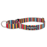 Lucky Love Dog Martingale Collar