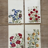 Epigr'am Anne of Brittany Flower Motif Parchment Paper Card