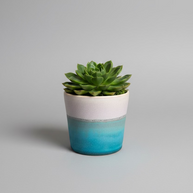 SGW Lab Plant Pot
