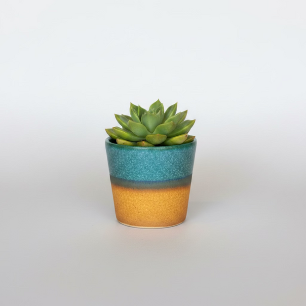 SGW Lab Plant Pot