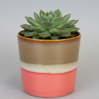 SGW Lab Plant Pot
