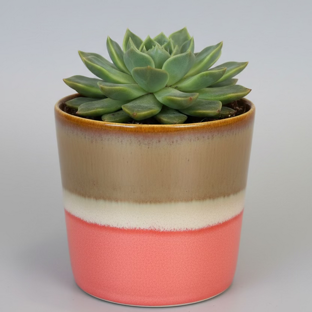 SGW Lab Plant Pot