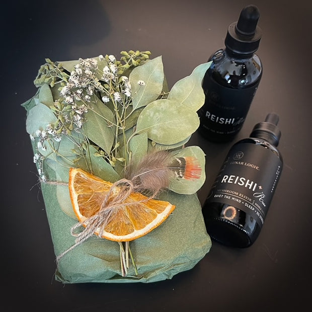 Lunar Logic Wild Apothecary_Roar / Lion's Mane Mushroom Elixir