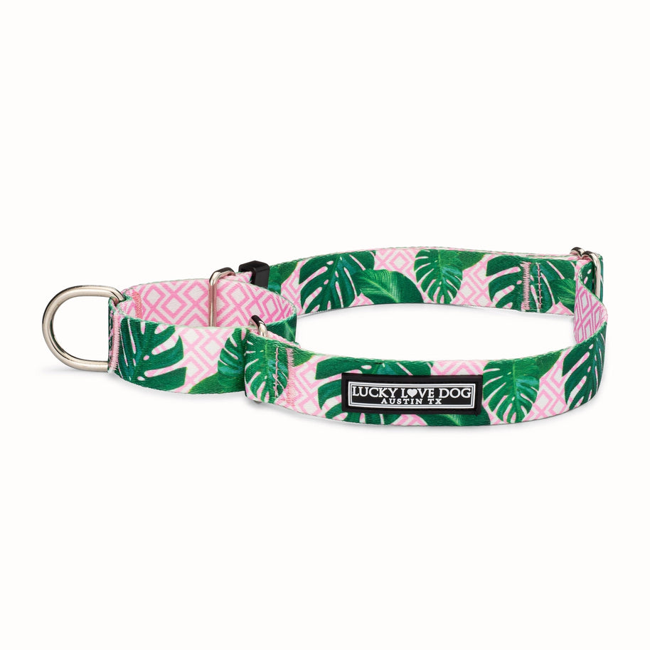 Lucky Love Dog Martingale Collar