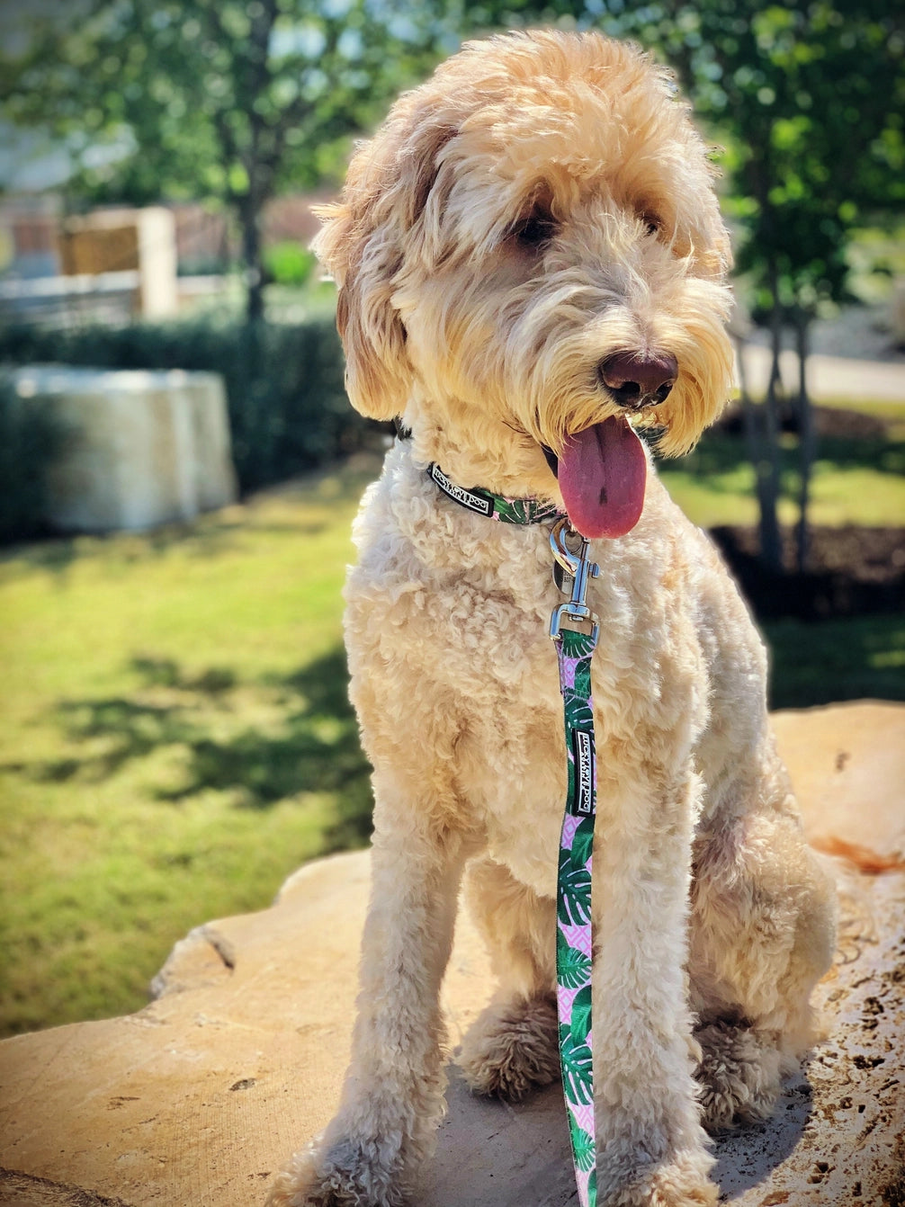 Lucky Love Dog Leash