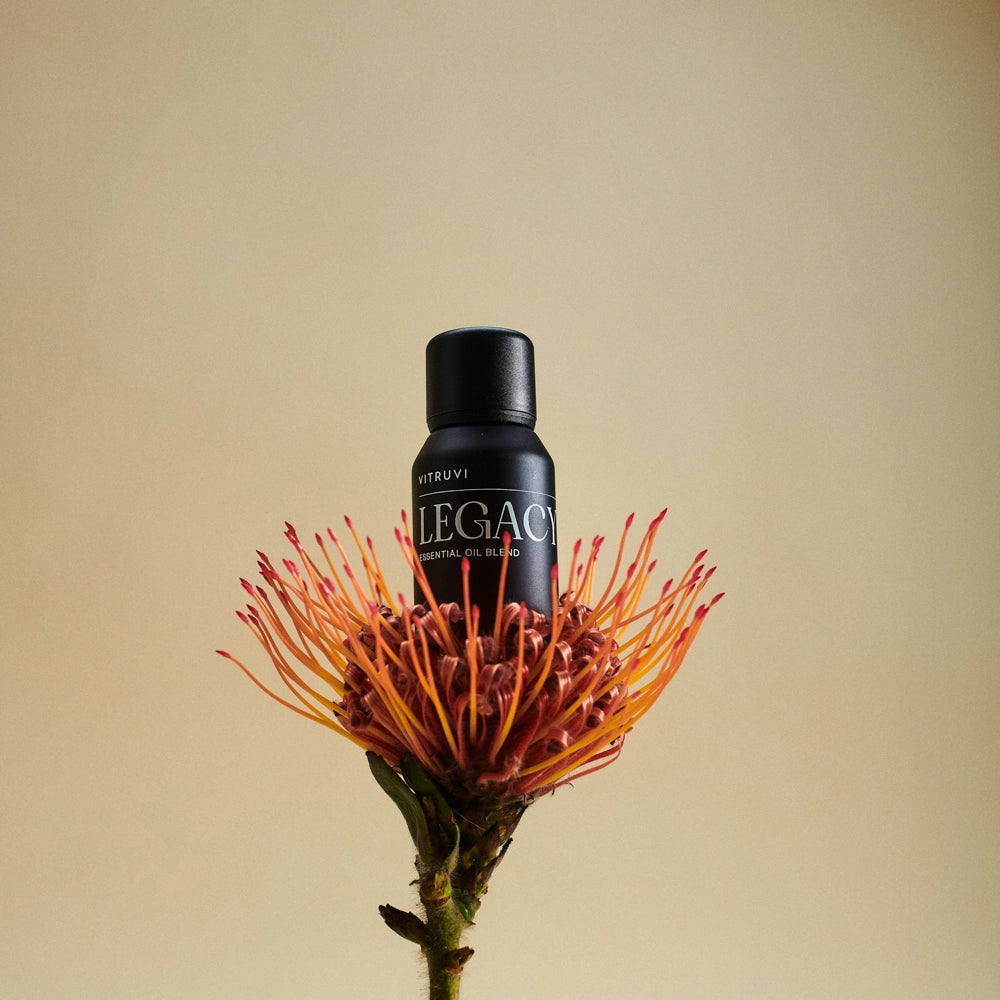Vitruvi Legacy essential oil blend in matte black bottle nestled in vibrant orange and coral protea flower on tan background