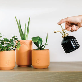 Black Glass and Brass Mister
