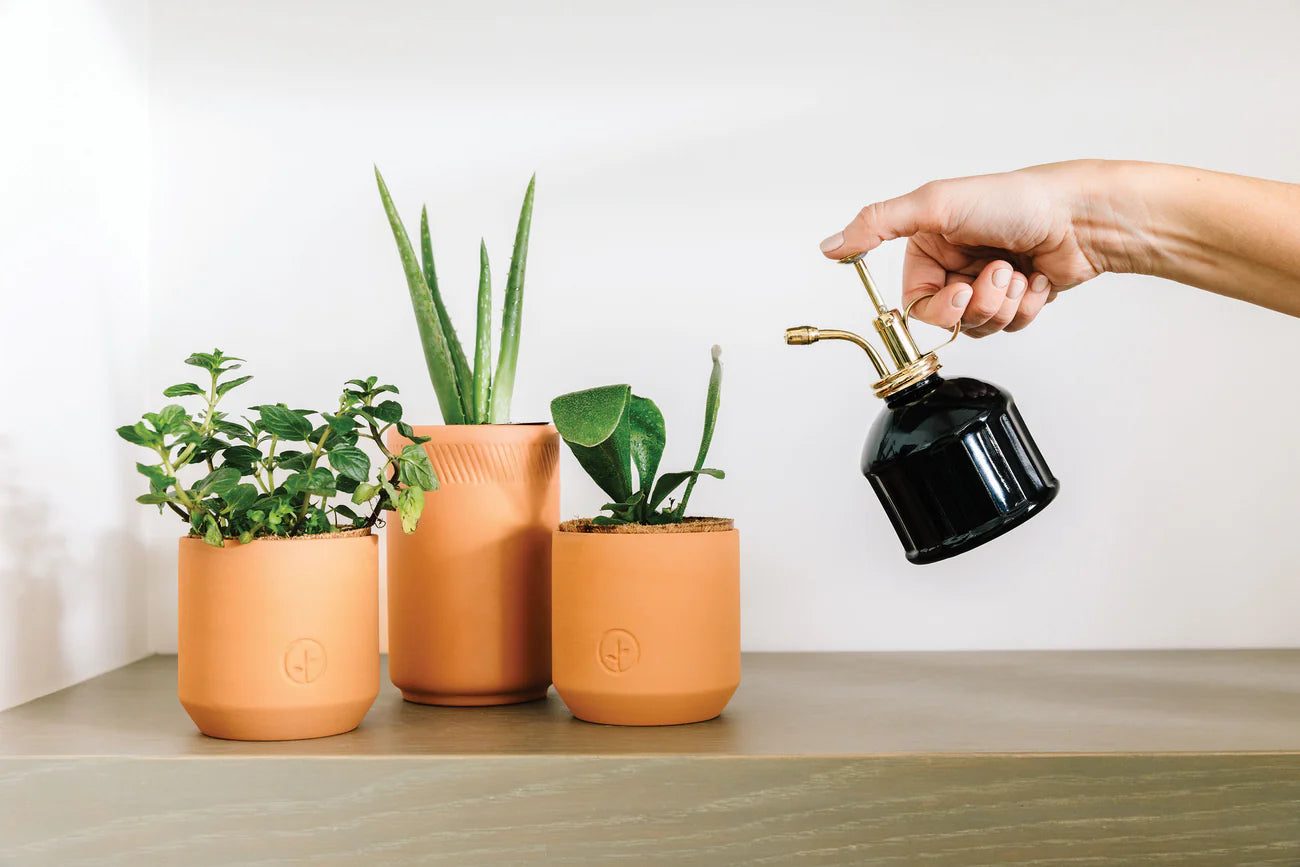 Black Glass and Brass Mister