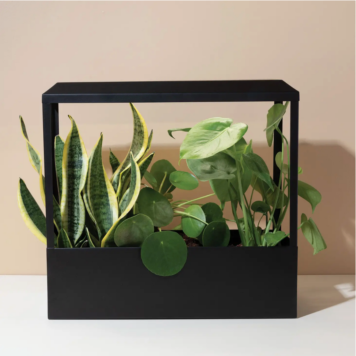 Matte black metal indoor planter with grow light top housing snake plant, pothos, and pilea in rectangular frame design