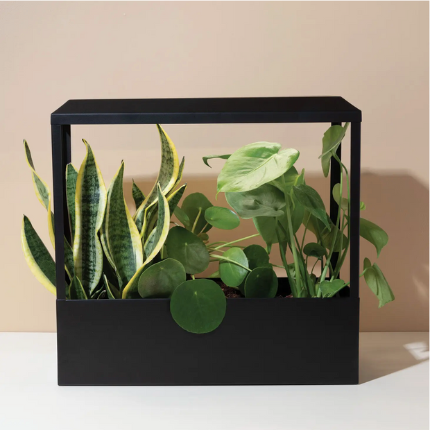 Smart Growhouse