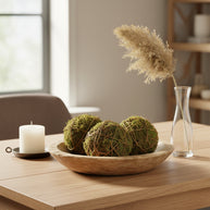 Napa Home & Garden Mossy Vine Orb