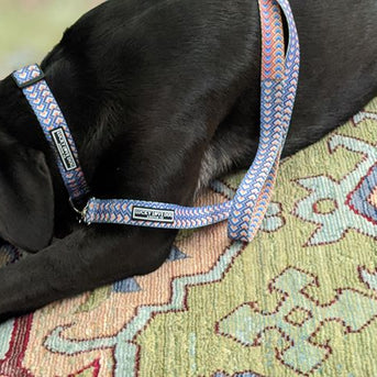 Lucky Love Dog Leash