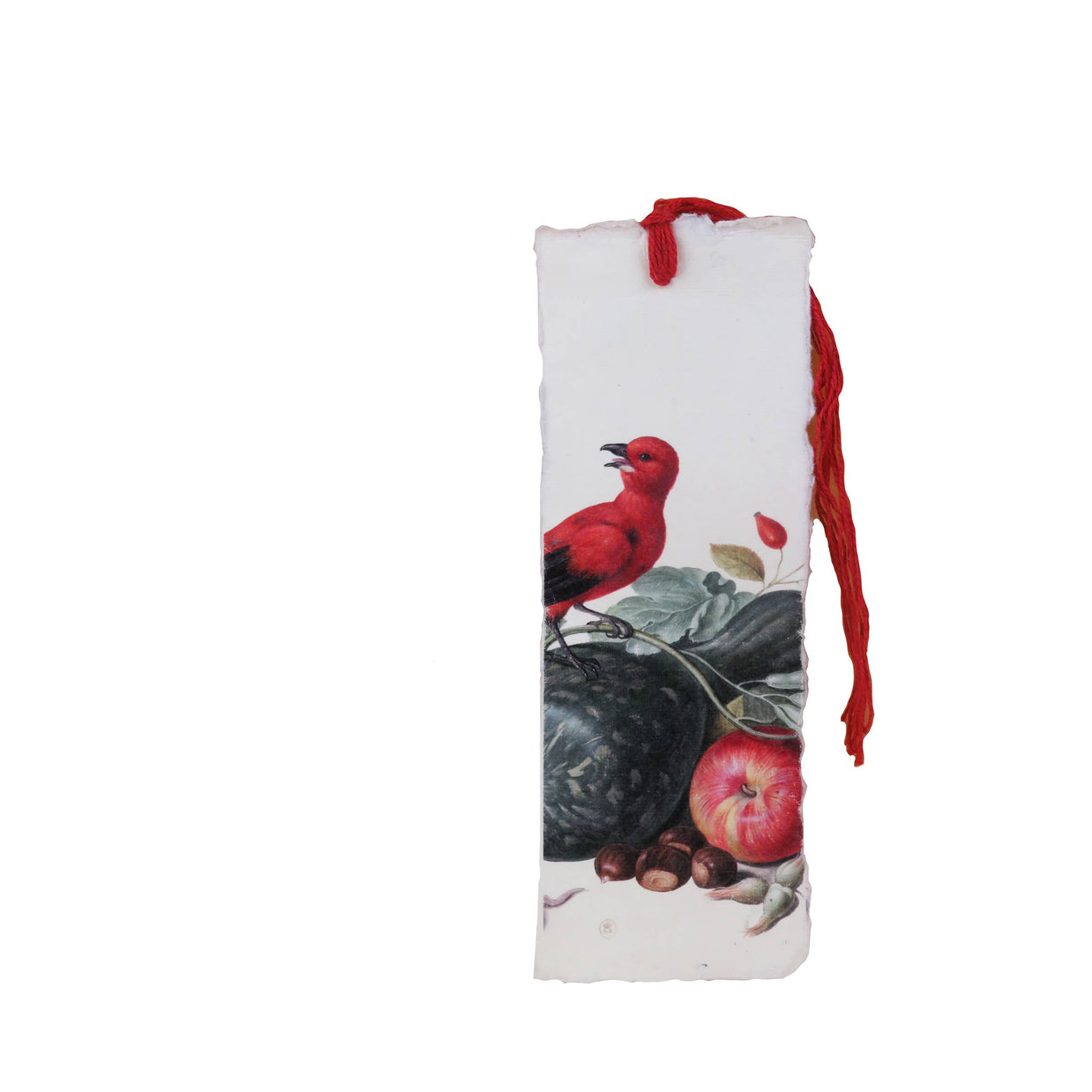 Epigr'am Red Bird Nassau Parchment Paper Bookmark