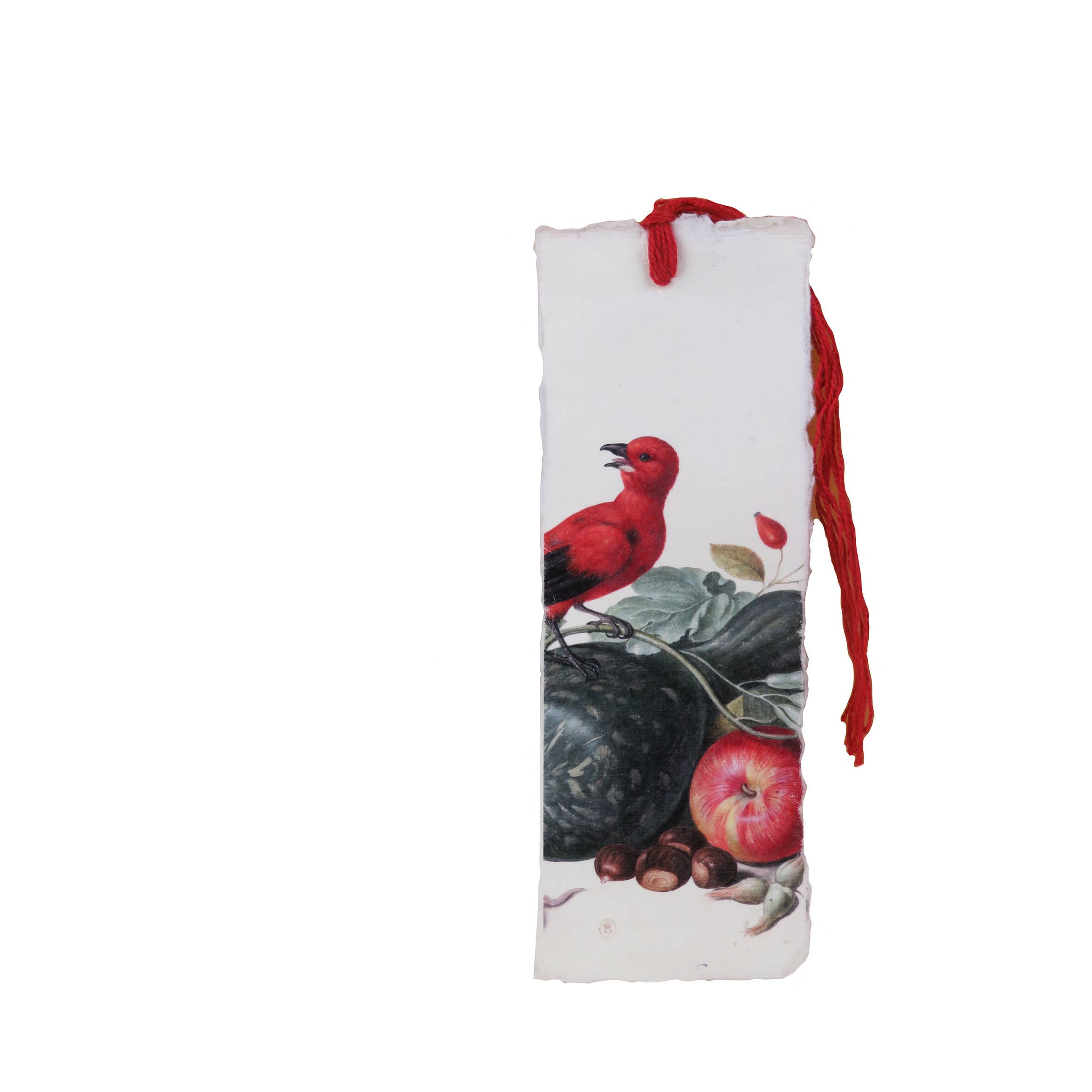 Epigr'am Red Bird Nassau Parchment Paper Bookmark