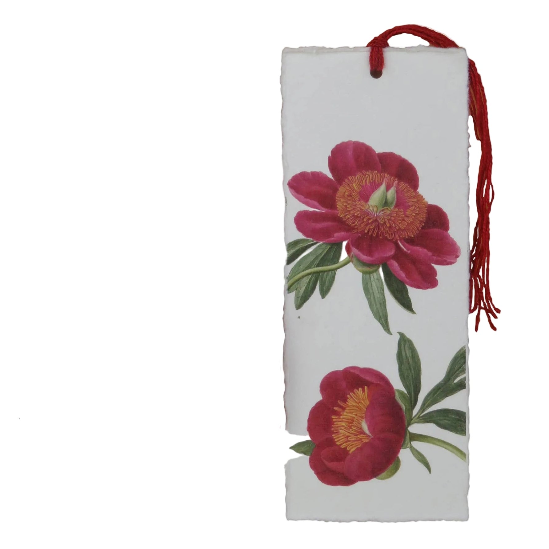 Epigr'am Majunta Peony Parchment Paper Bookmark