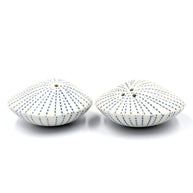Art Floral Trading Blue Dotted Sea Shell Porcelain Salt and Pepper Shaker Set