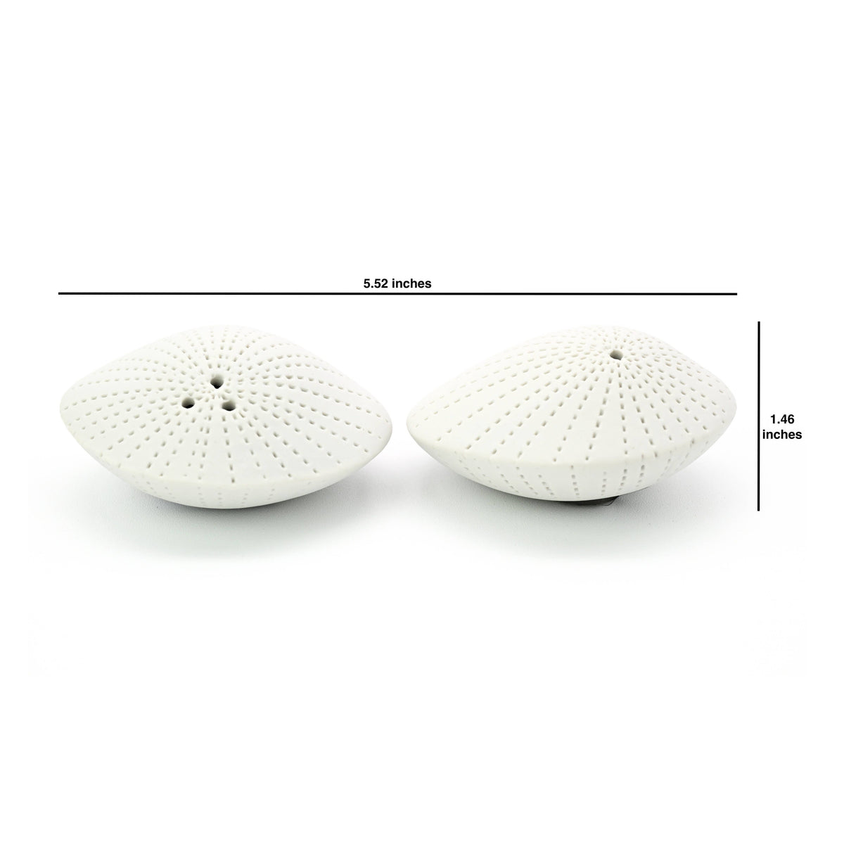 Art Floral Trading Dotted Sea Shell Porcelain Salt and Pepper Shaker Set