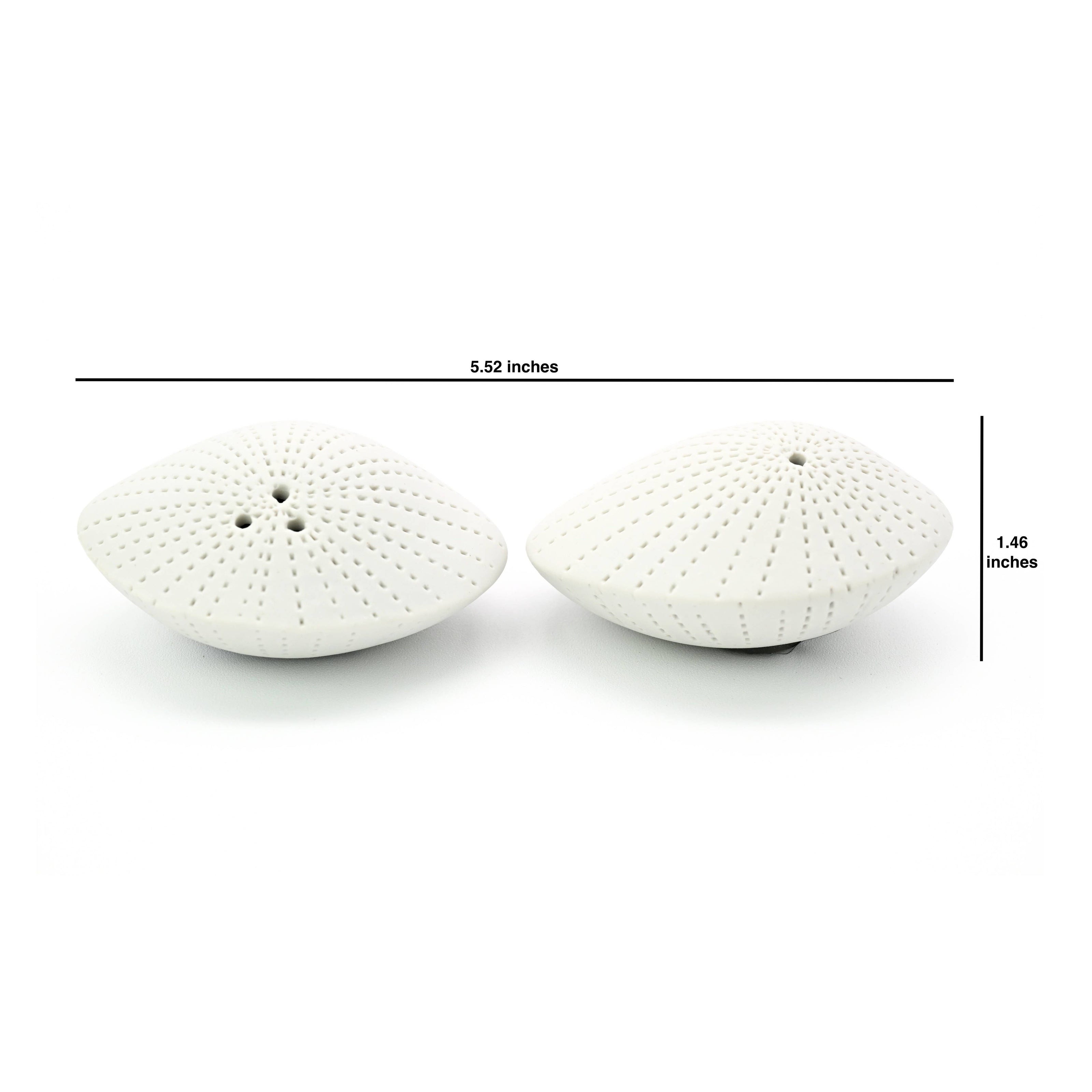Art Floral Trading Dotted Sea Shell Porcelain Salt and Pepper Shaker Set