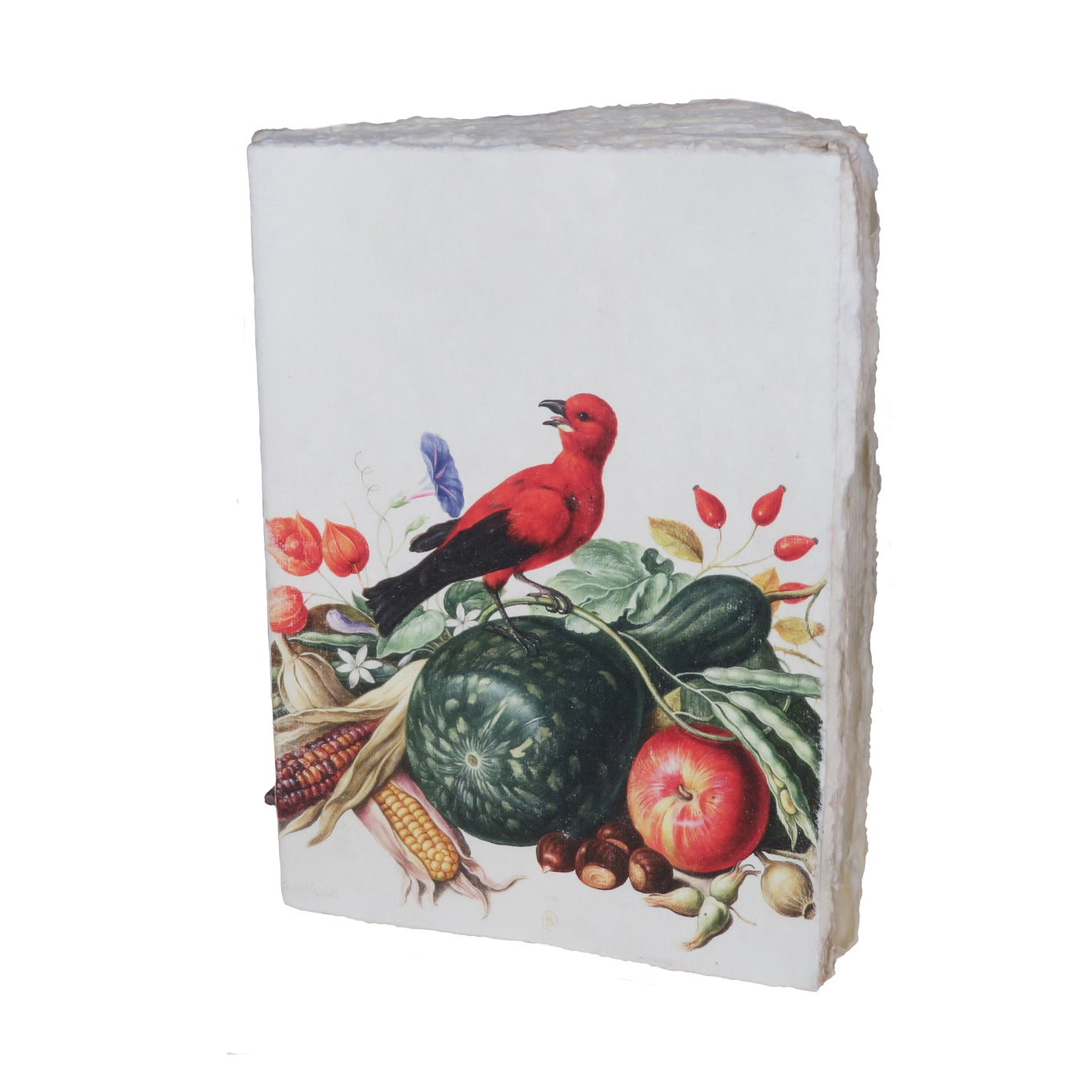 Red Bird Nassau Parchment Paper Notebook
