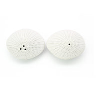 Art Floral Trading Dotted Sea Shell Porcelain Salt and Pepper Shaker Set