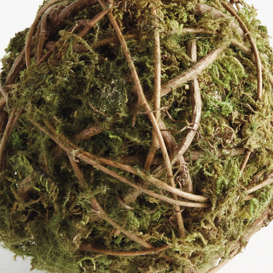 Natural moss ball covered in green sheet moss with brown vine branches woven throughout on white background