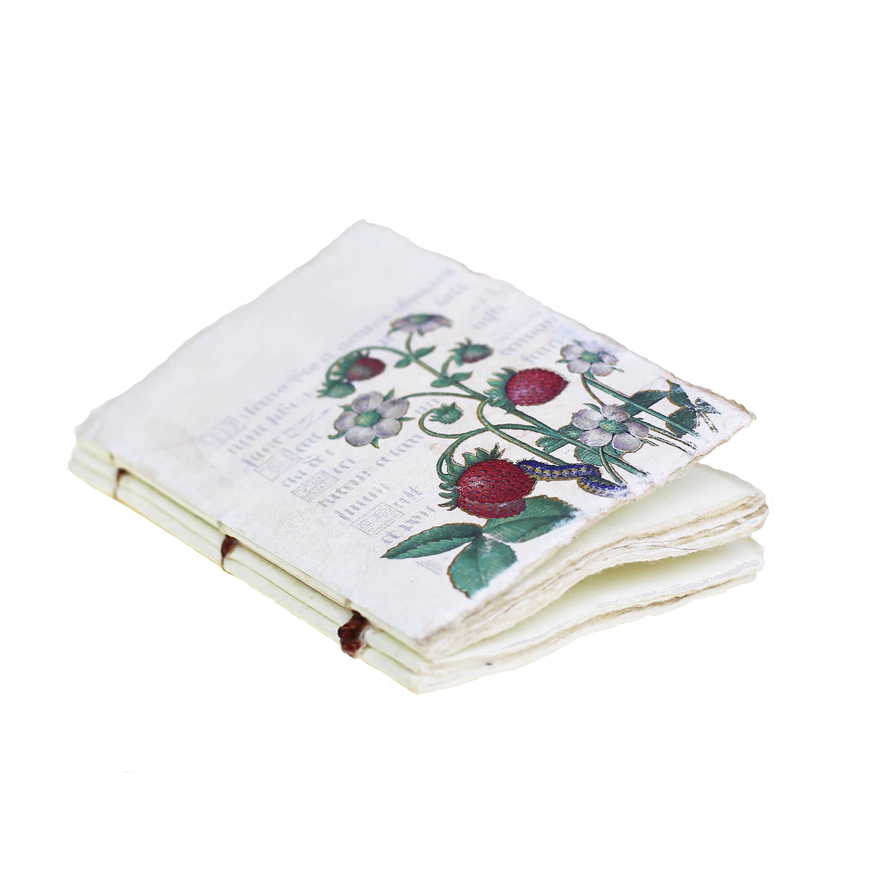 Epigr'am Strawberries & Iris Illumination Middle Ages Parchment Paper Notebook