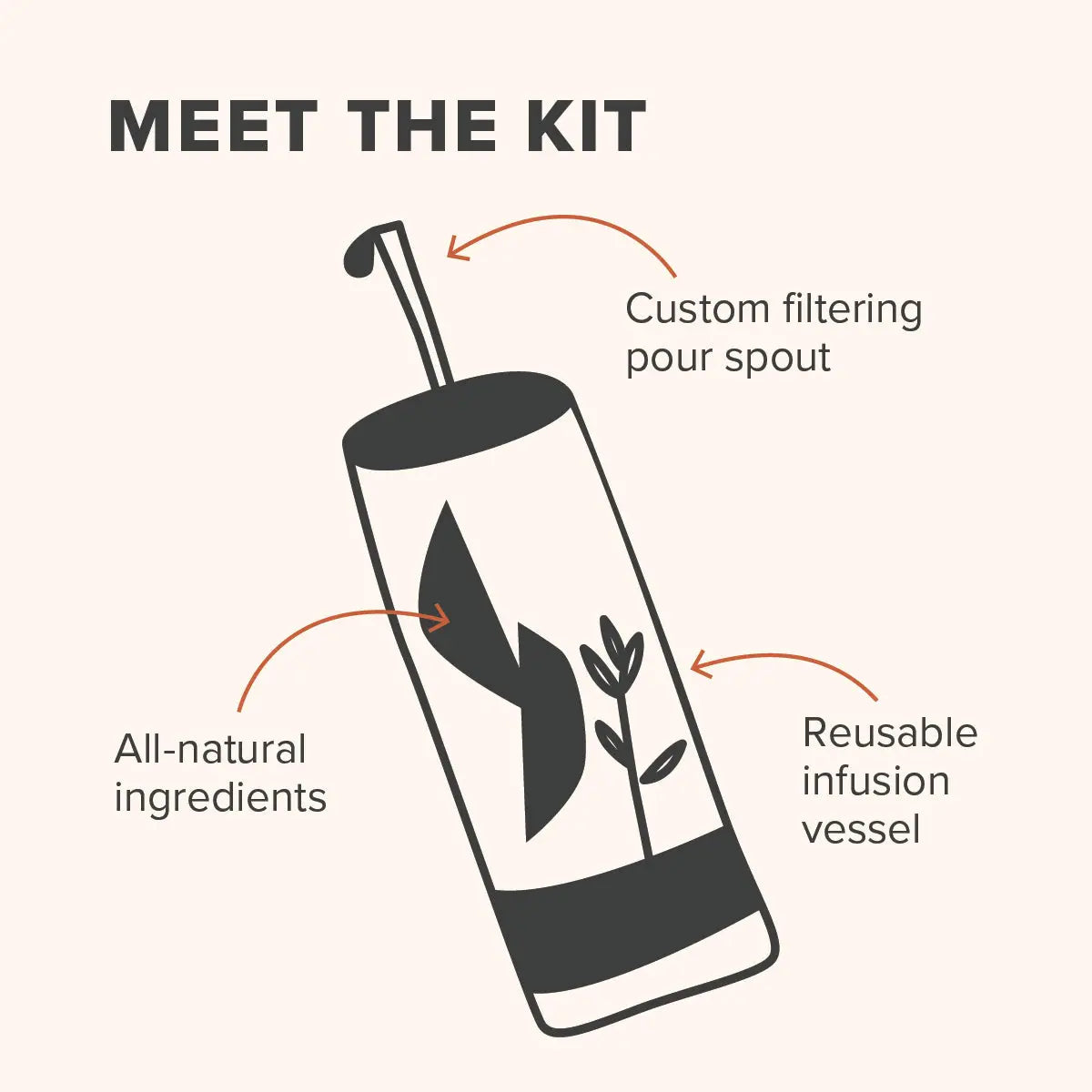 Illustrated diagram of glass tea infusion bottle with dark charcoal cap, pour spout, botanical leaves, labeled features on beige