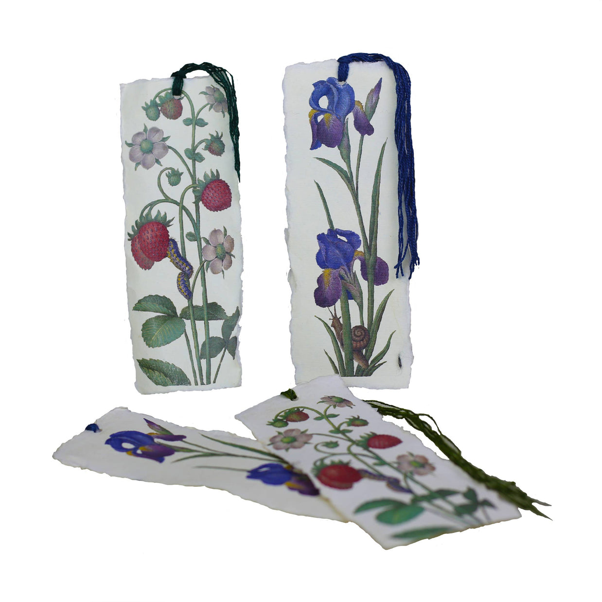 Epigr'am Strawberries & Iris Illumination Middle Ages Parchment Paper Notebook