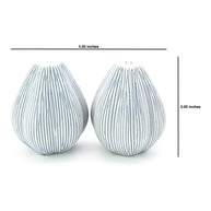 Art Floral Trading Champa Striped Porcelain Salt and Pepper Shaker Set