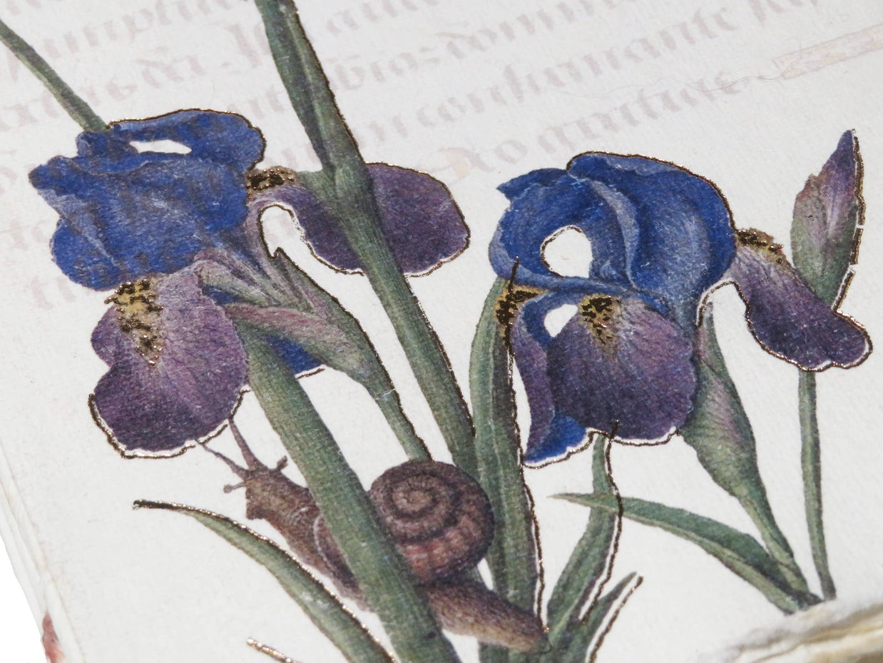 Epigr'am Strawberries & Iris Illumination Middle Ages Parchment Paper Notebook