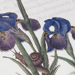 Epigr'am Strawberries & Iris Illumination Middle Ages Parchment Paper Notebook