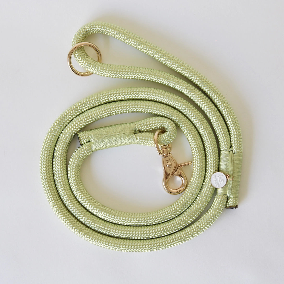 Sage green braided rope dog leash with brass O-ring and swivel clip, coiled in spiral on white background