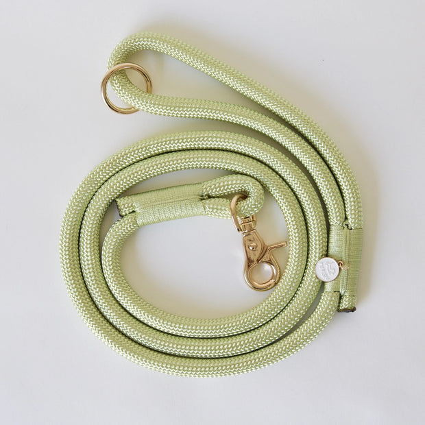 Braided Rope Leash