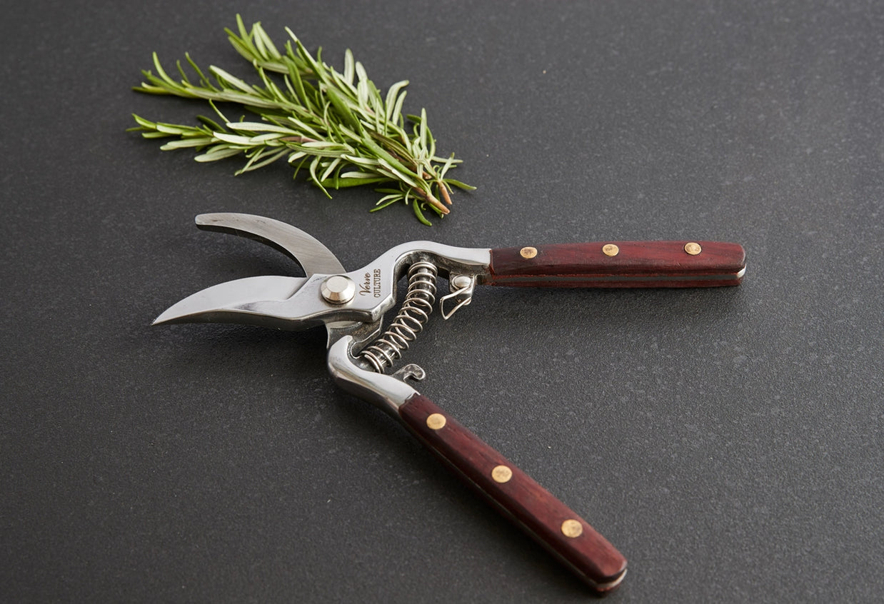 Stainless steel kitchen shears with dark wood handles and brass rivets, spring-loaded mechanism, displayed with fresh rosemary