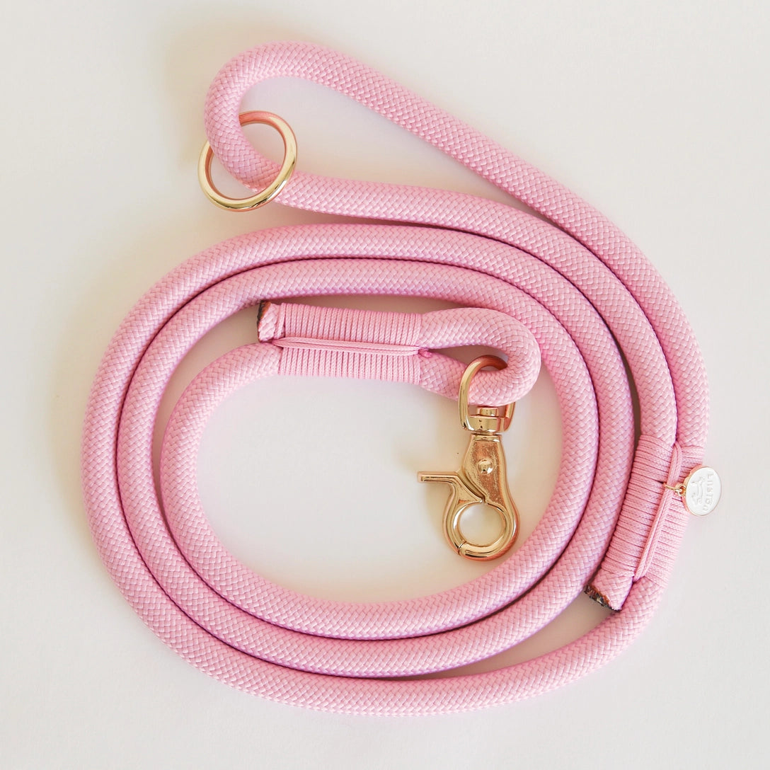 Pink braided rope dog leash with gold-tone metal clasp and O-ring, coiled on cream background showing textured weave detail.