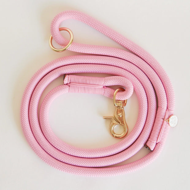Braided Rope Leash