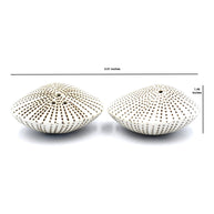 Art Floral Trading Brown Dotted Sea Shell Porcelain Salt and Pepper Shaker Set