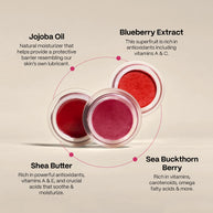 Three round clear cosmetic pots with berry-tinted balms in deep red, pink, and coral shades on beige background with ingredient labels