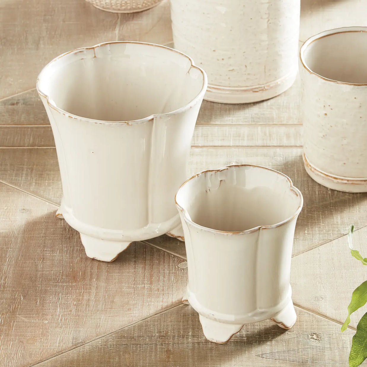 Cream ceramic planters with scalloped rims and brown distressed edges in various sizes on whitewashed wood surface