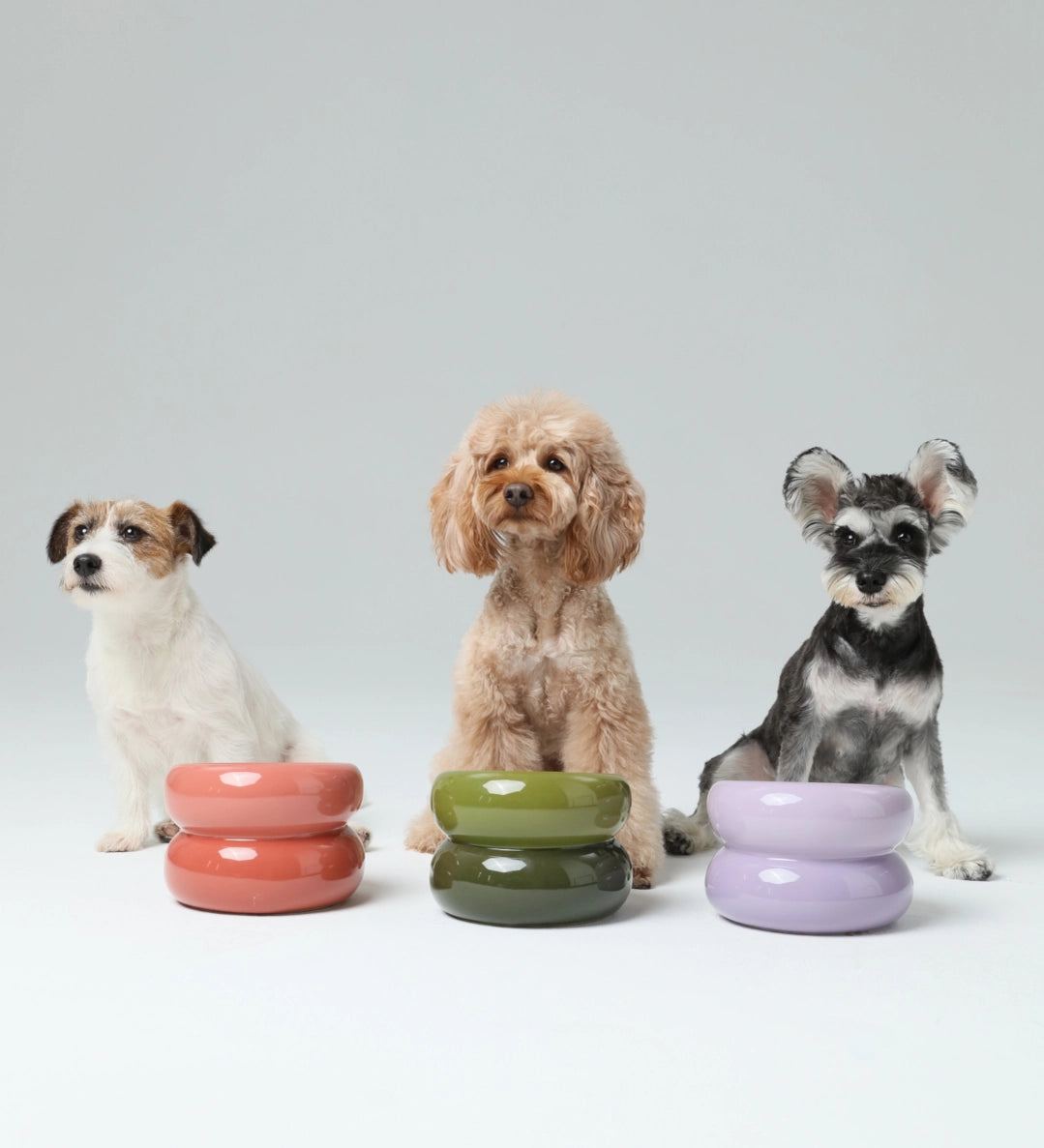 Stackable ceramic pet bowls in coral pink, olive green, and lavender purple with glossy finish, shown with three dogs