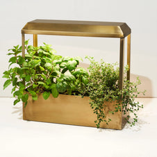 Brushed gold metal indoor herb garden with integrated grow light growing basil, mint, and thyme in rectangular planter