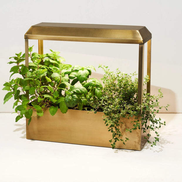 Smart Growhouse