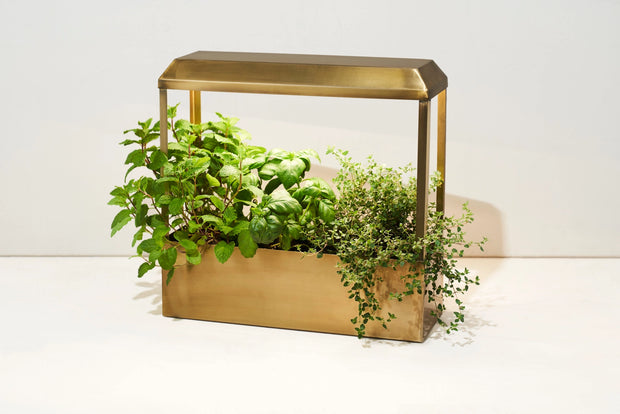 Smart Growhouse