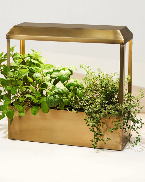 Smart Growhouse